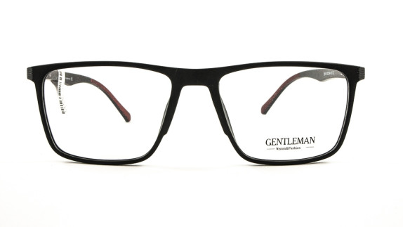 GENTLEMAN 2010 C2