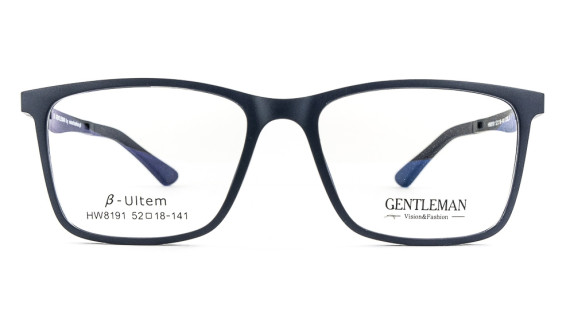 GENTLEMAN HW8191 COL.3