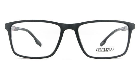 GENTLEMAN FA02-09 C,01G