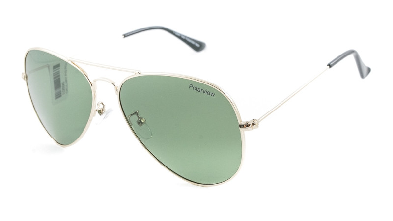 POLARVIEW PV3420B
