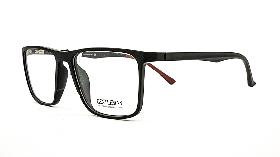 GENTLEMAN 2010 C2