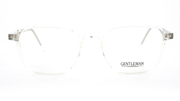 GENTLEMAN TR8913 C2