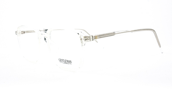 GENTLEMAN TR8913 C2