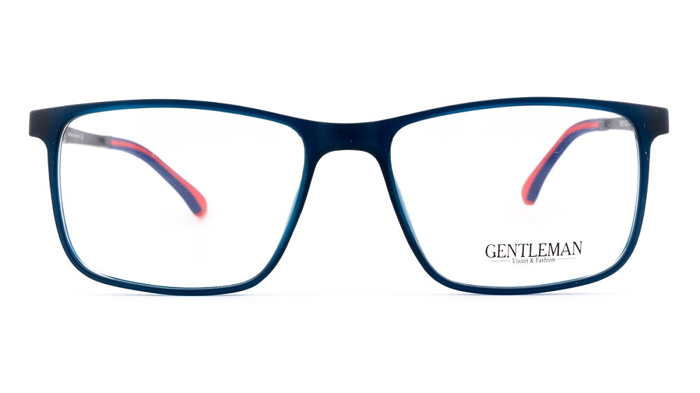 GENTLEMAN H8113 C2