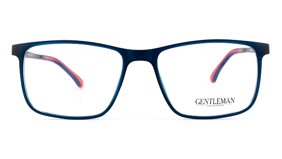 GENTLEMAN H8113 C2