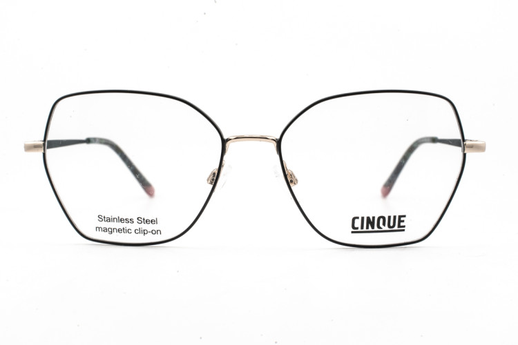 CINQUE 11178-3