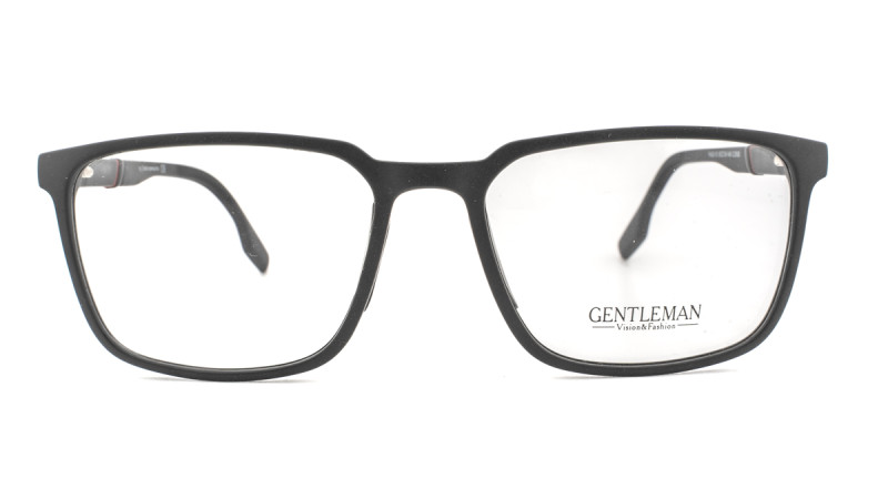 GENTLEMAN FA02-10 C01G