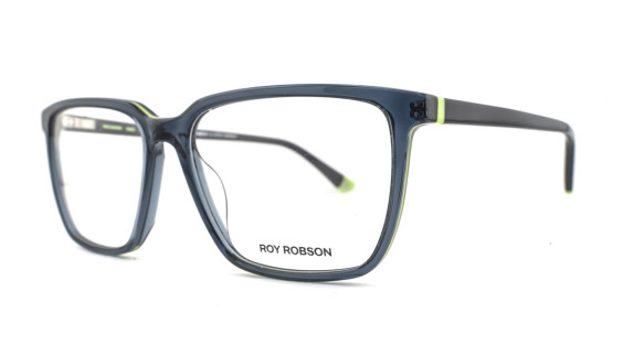 ROY ROBSON 60131-1