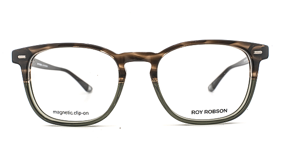 ROY ROBSON 60133-3