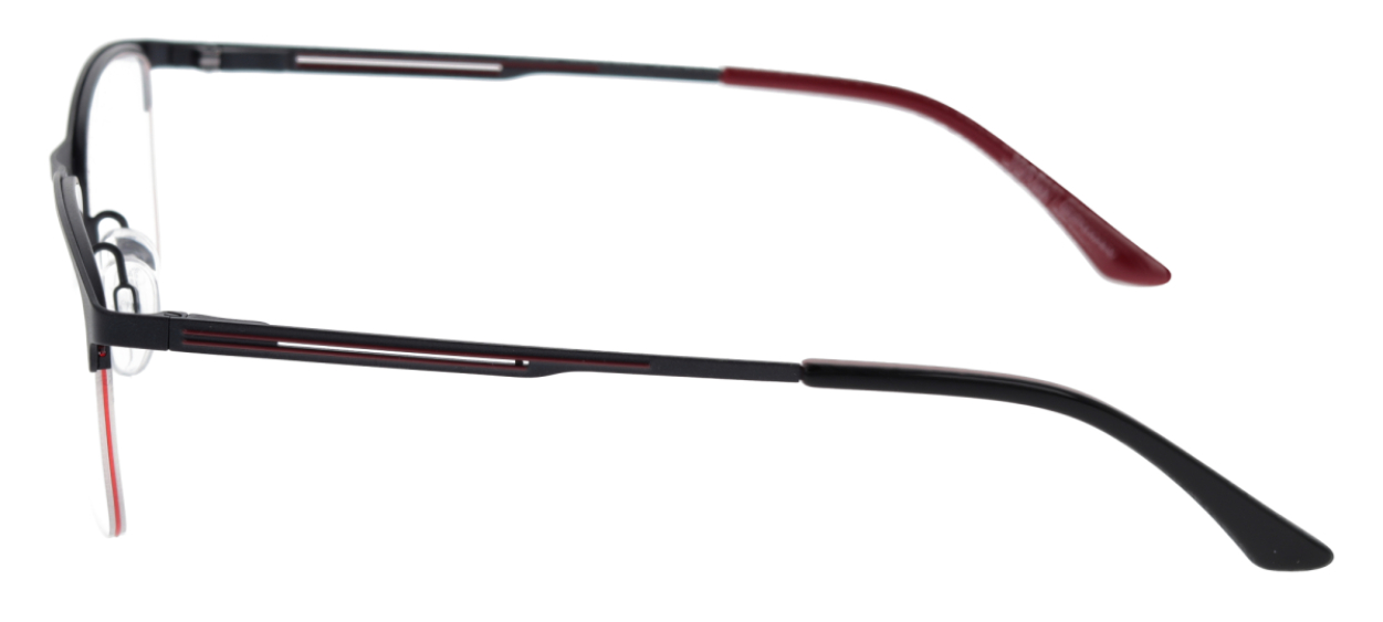 VISTAN 2529-3