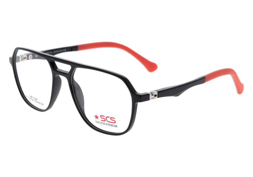 SUCCESS IP-XS 5590 C6