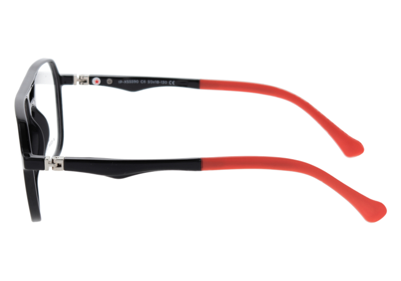 SUCCESS IP-XS 5590 C6