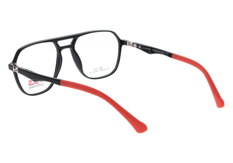 SUCCESS IP-XS 5590 C6