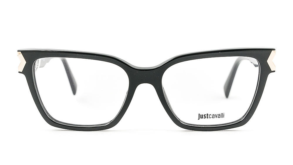 JUST CAVALLI JC0808 001