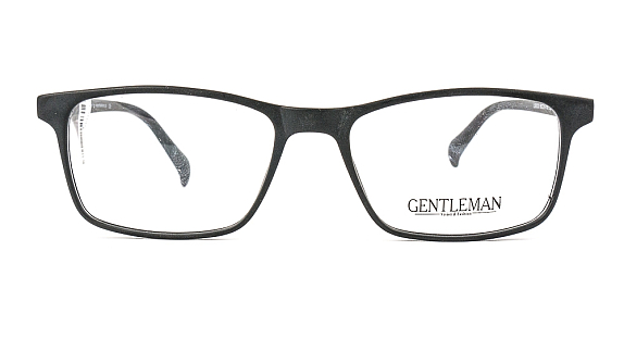 GENTLEMAN LS8033 C2