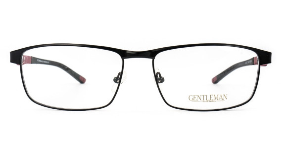 GENTLEMAN US-9031 C2