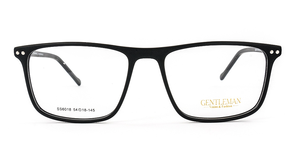 GENTLEMAN SS6018 C2
