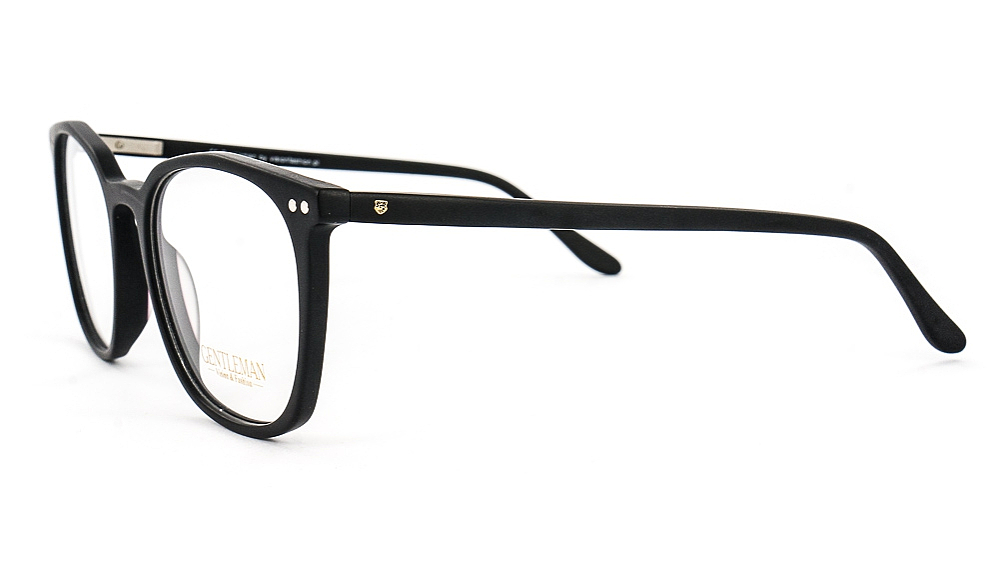 GENTLEMAN SS6005 C2