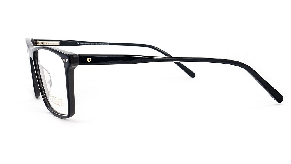 GENTLEMAN SS6001 C5