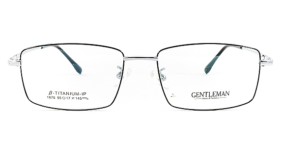 GENTLEMAN 1876 C3