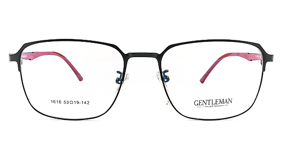 GENTLEMAN 1616 C5