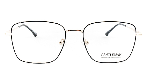 GENTLEMAN DP33070 C2